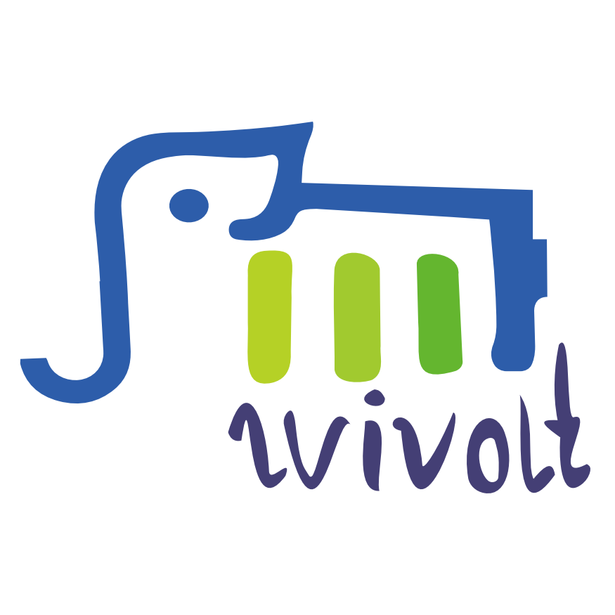 Vivolt payment logo