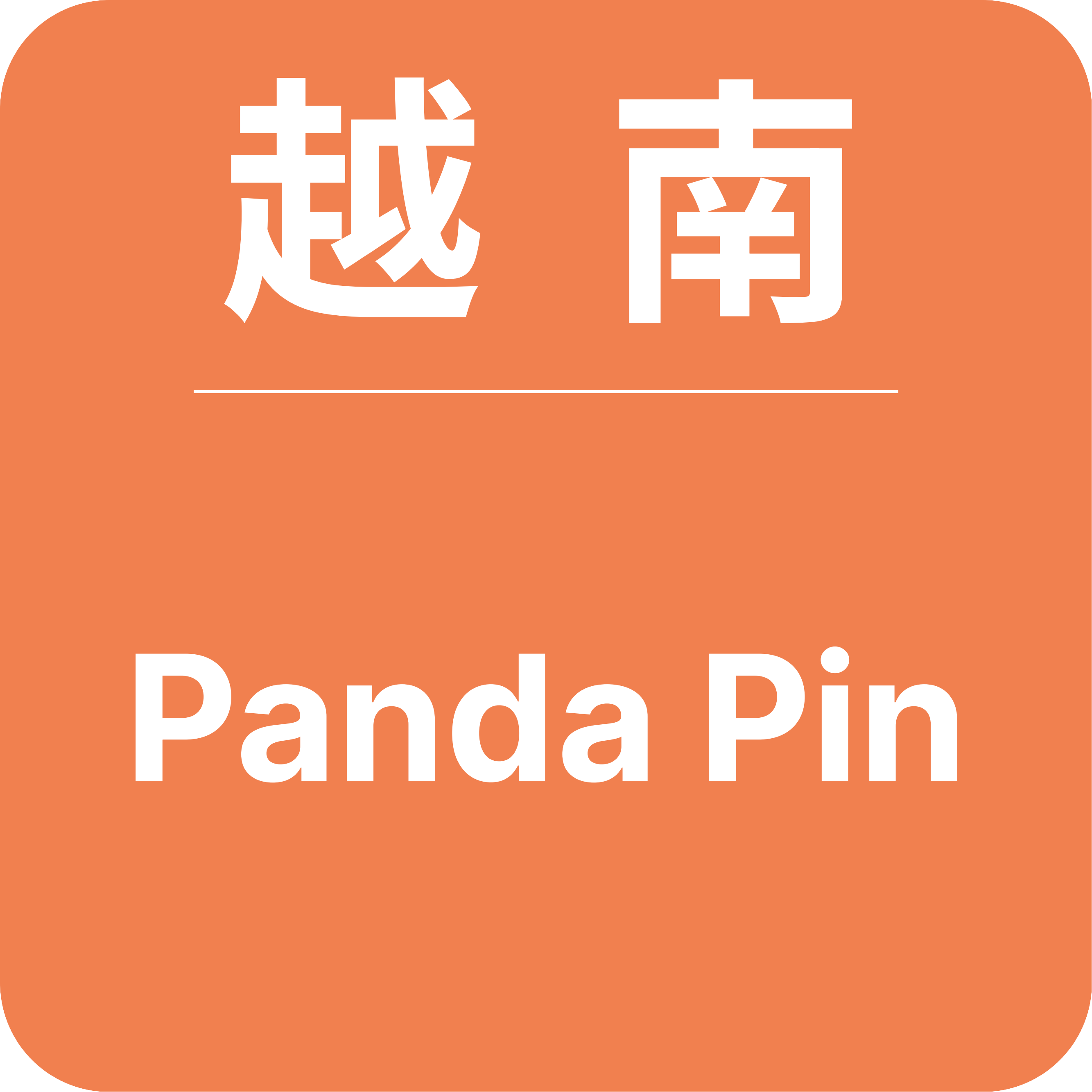 Panda Pin brand logo